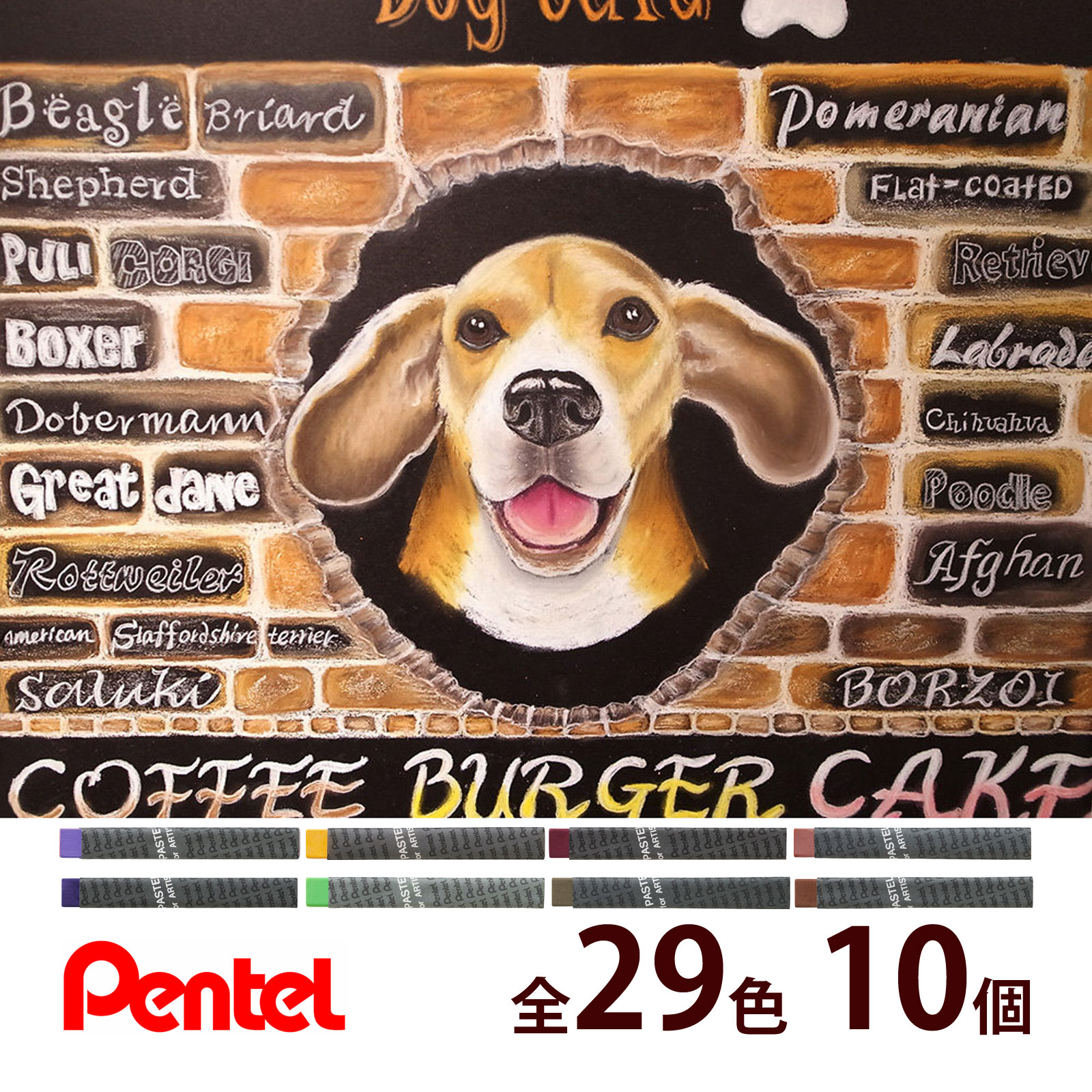 専門家用パス 10本単位