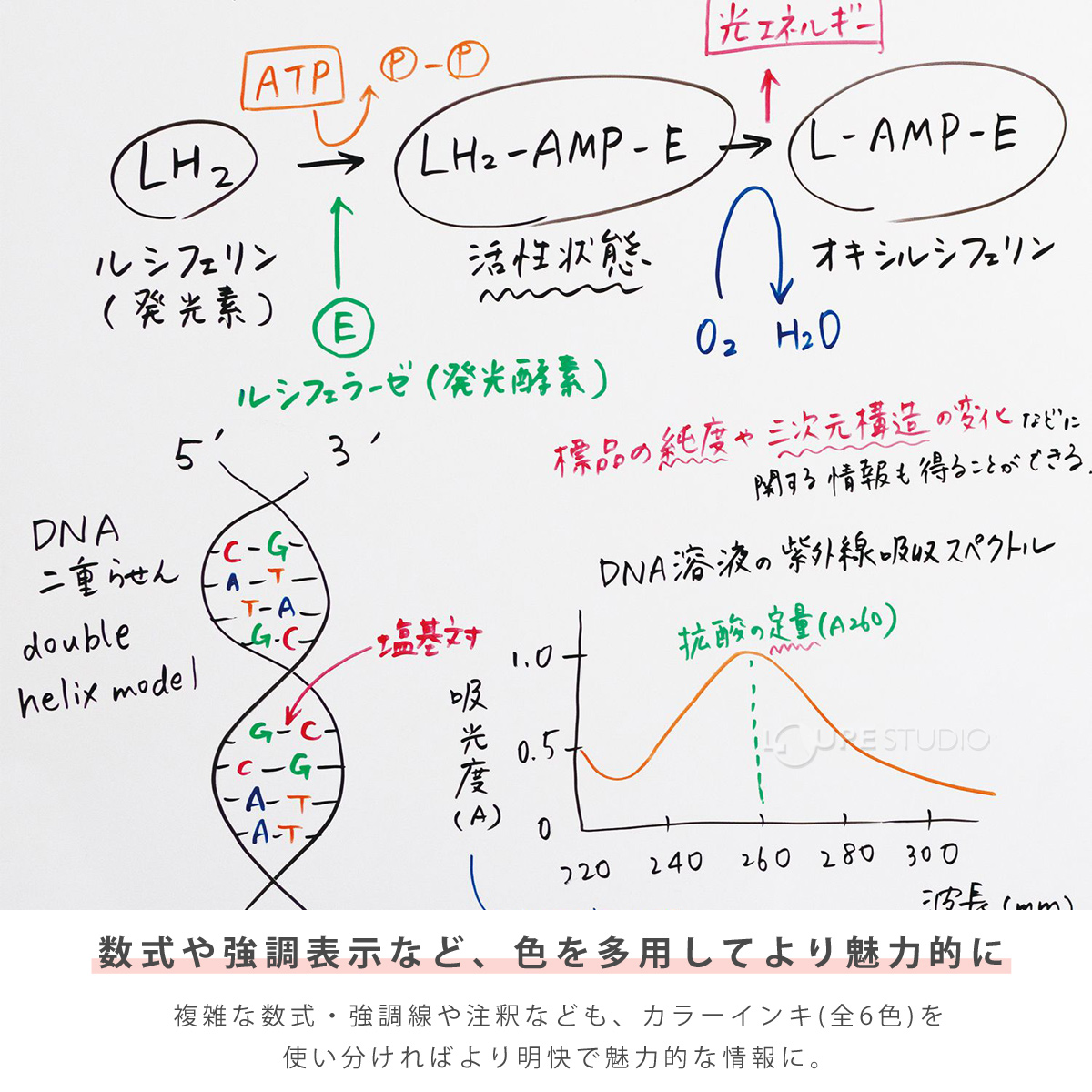 数式や強調表示など、色を多用してより魅力的に