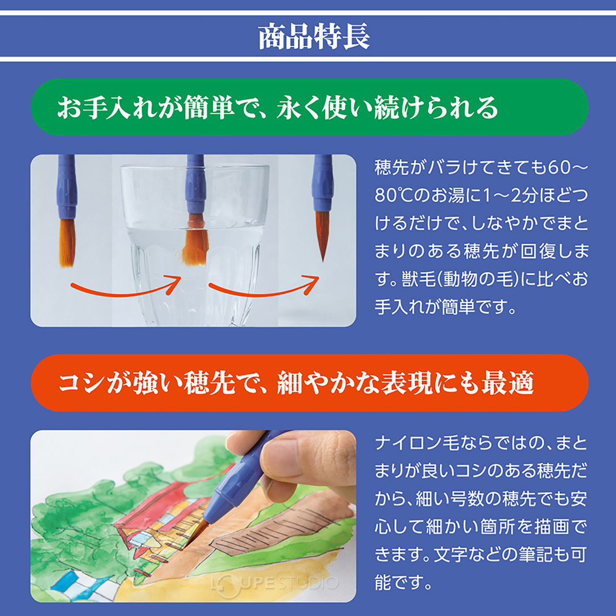 特長