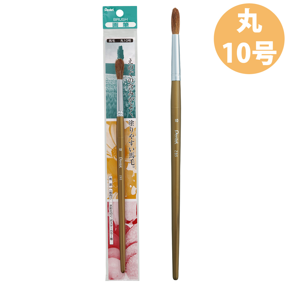 ぺんてる Pentel パック入り ぺんてる高級画筆 馬毛 丸筆 10号 筆 絵具 ふで 絵の具用品 画材 小学生 図工 美術 学校 教材 夏休み 自由研究 