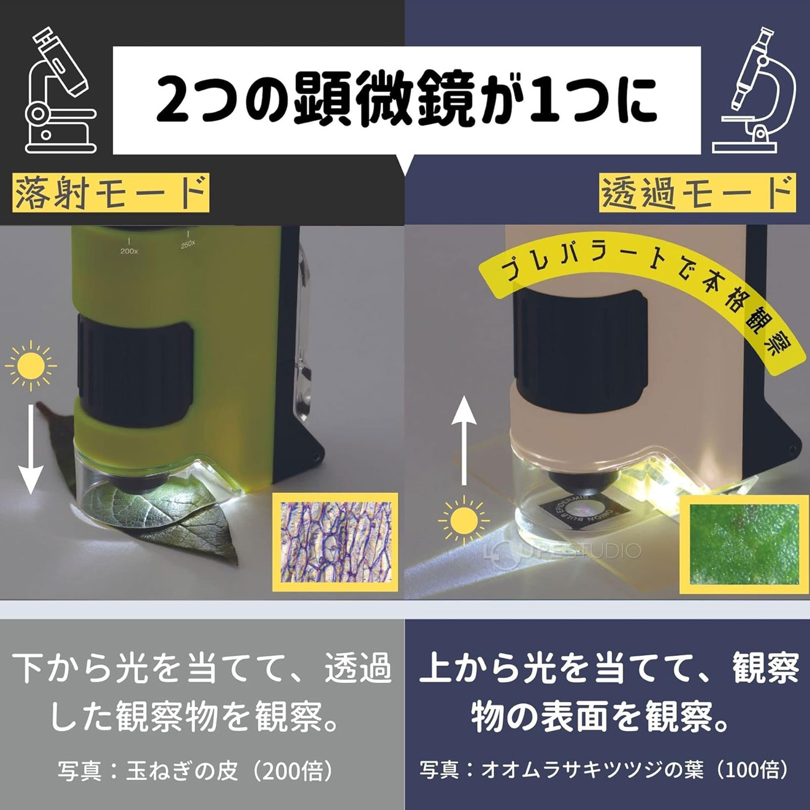 二つの顕微鏡が一つに 