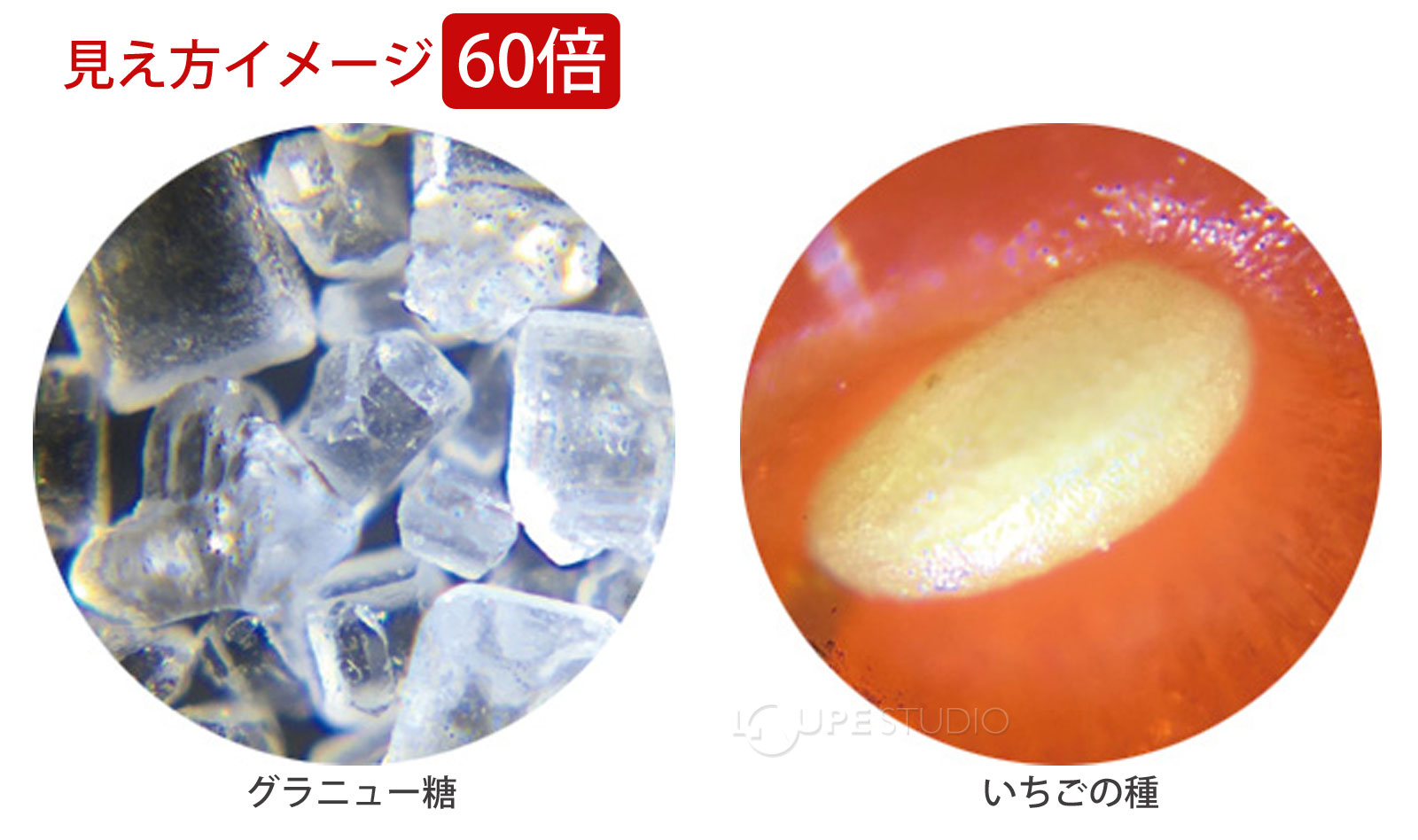 見え方イメージ60倍 