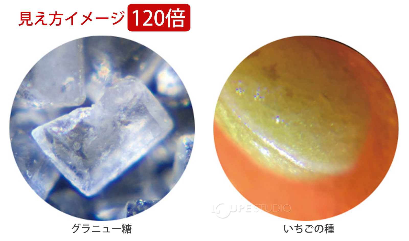 見え方イメージ120倍 