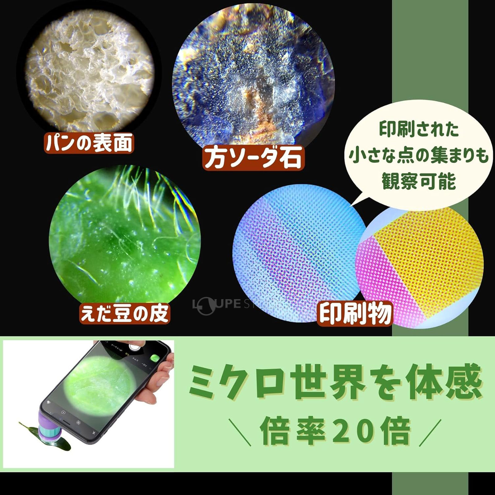 ミクロ世界を体感倍率20倍 