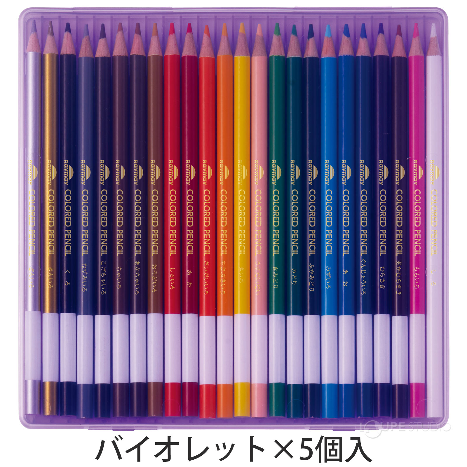 バイオレット×5個入 