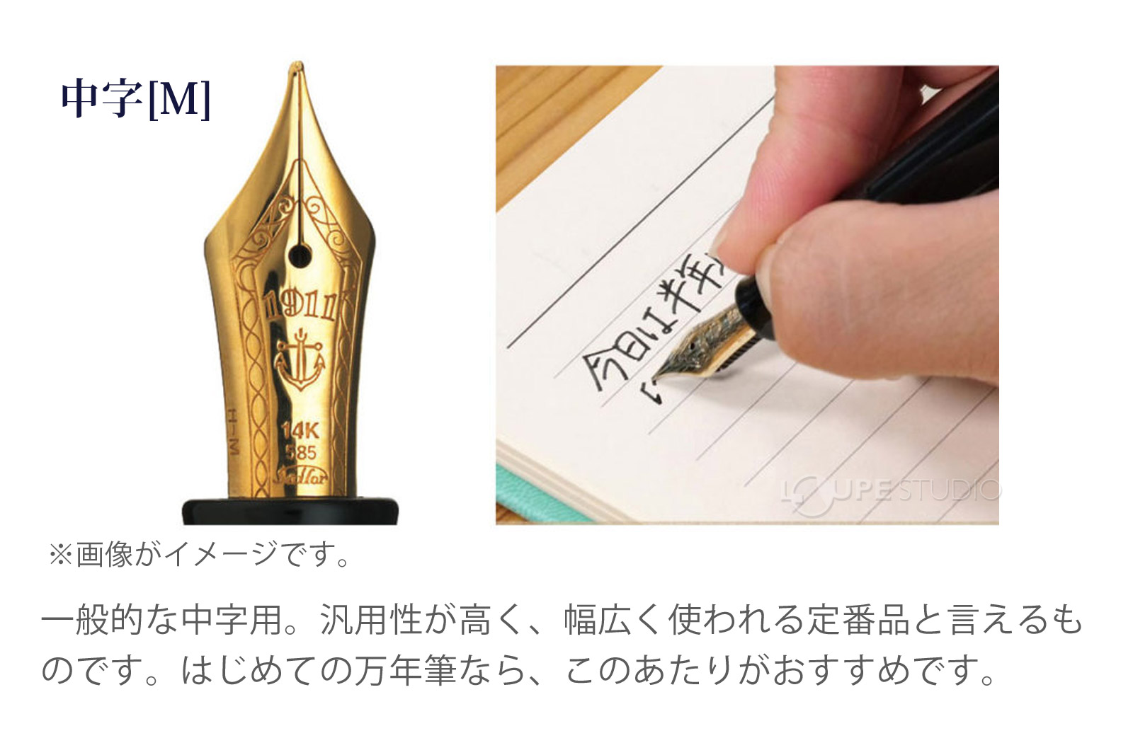 ペン先字幅の種類 