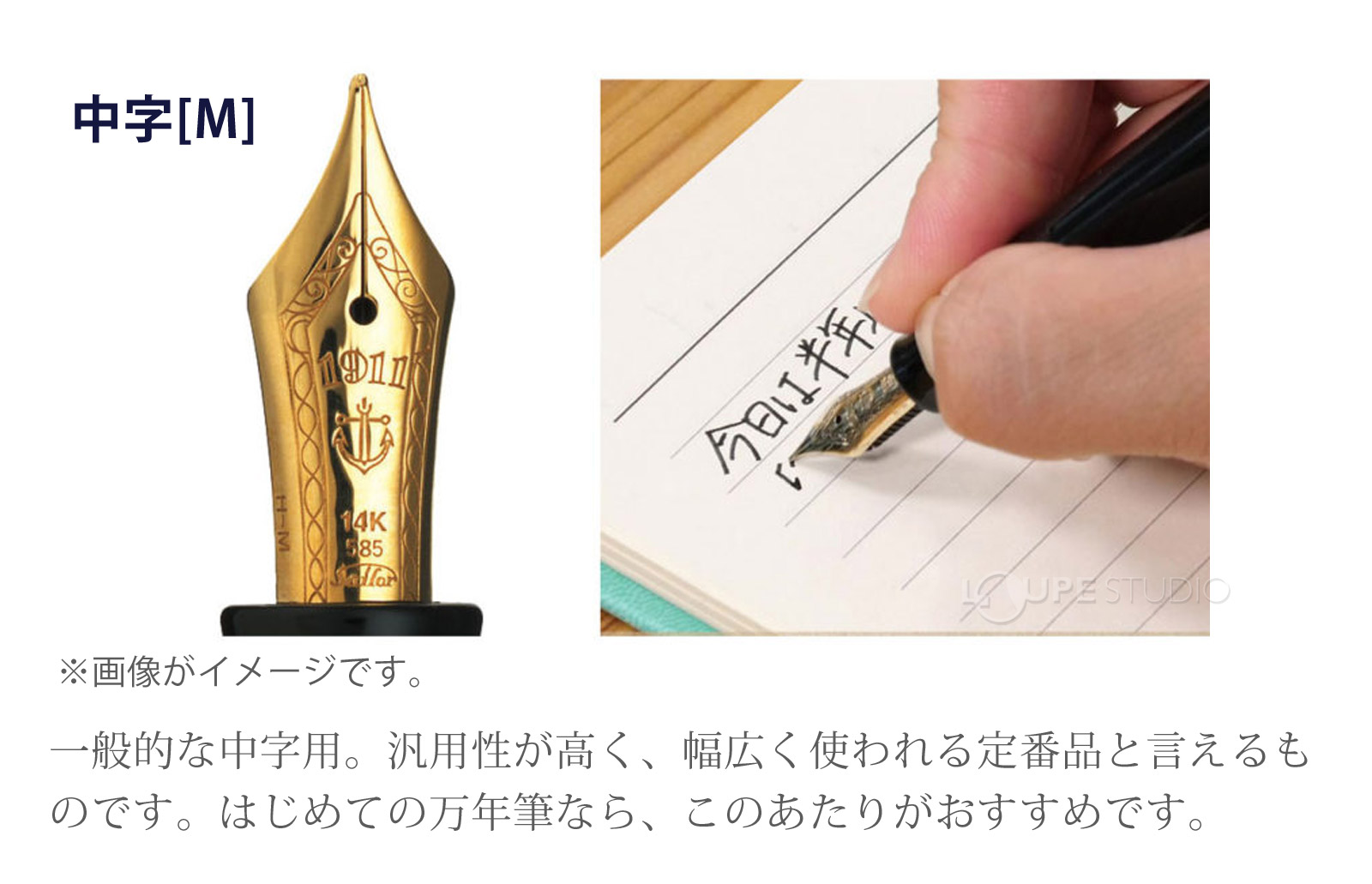 ペン先字幅の種類 