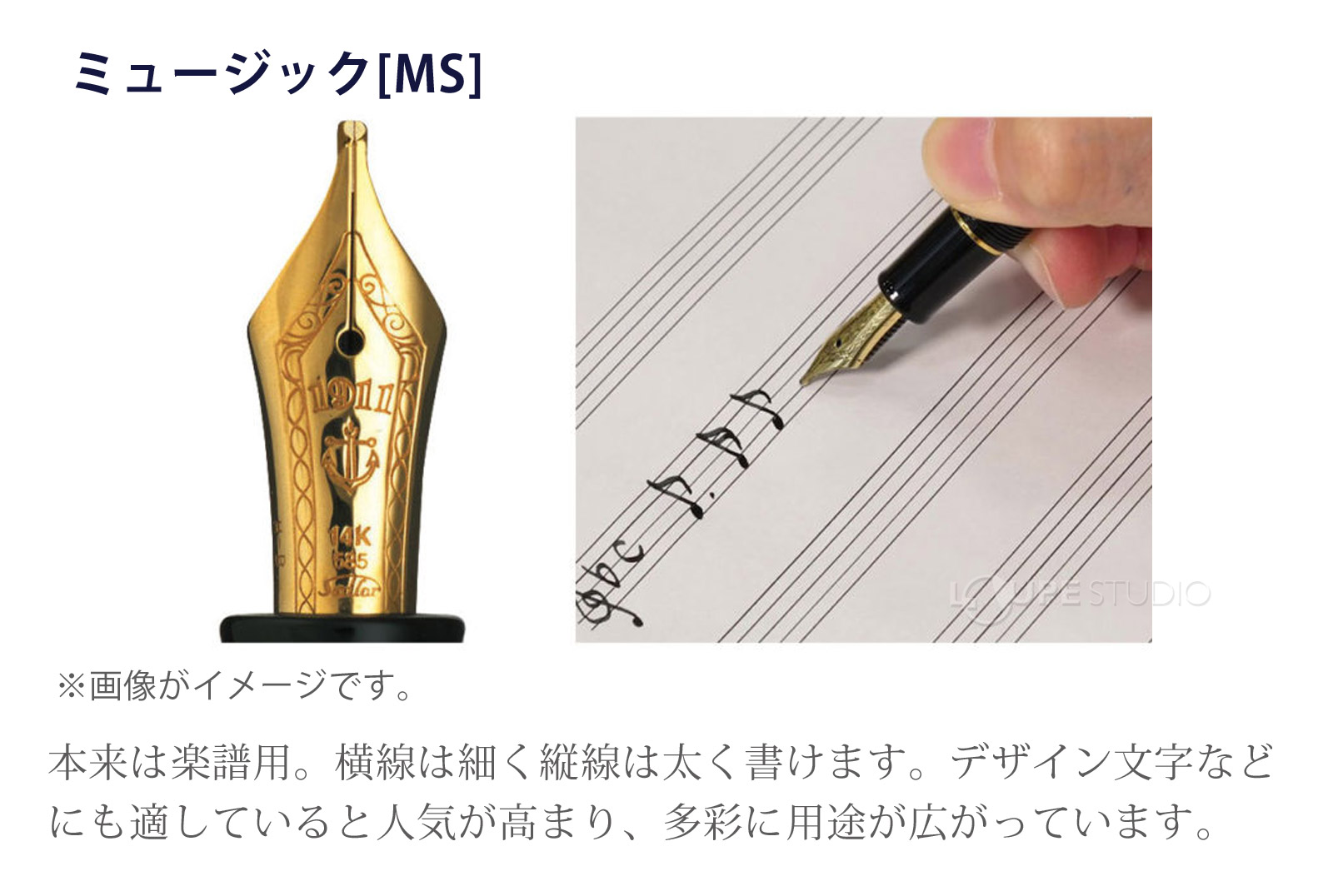 ペン先字幅の種類 