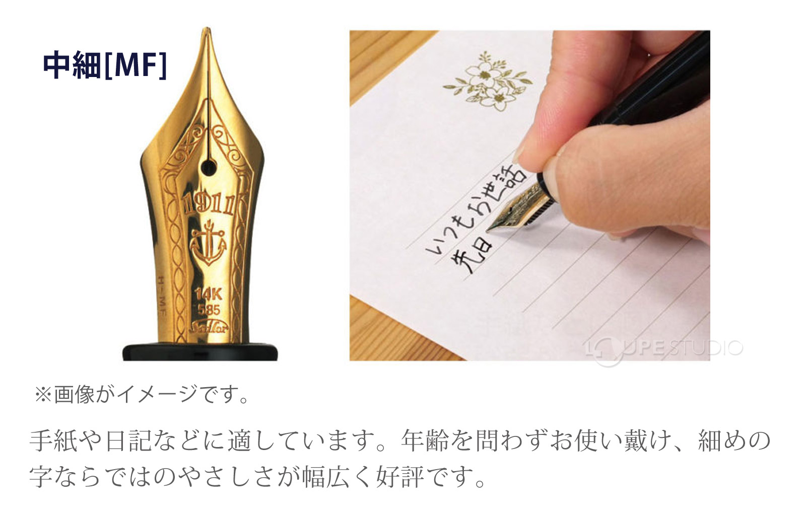 ペン先字幅の種類 