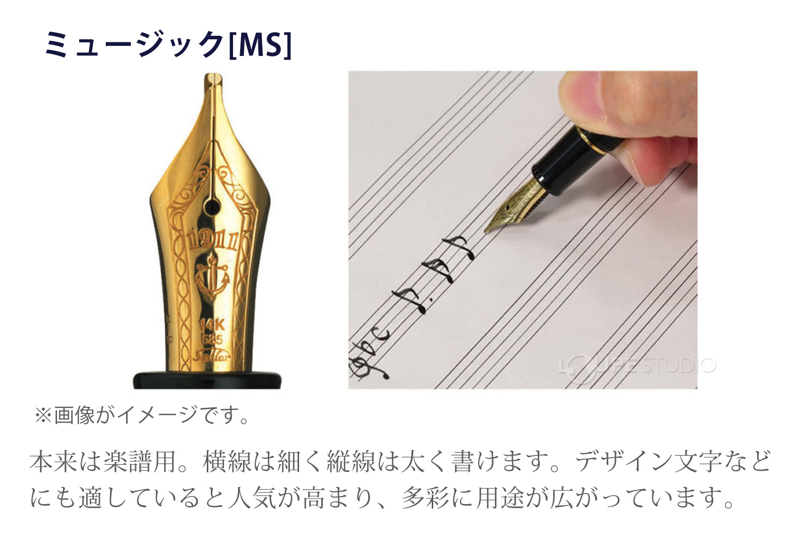 ペン先字幅の種類