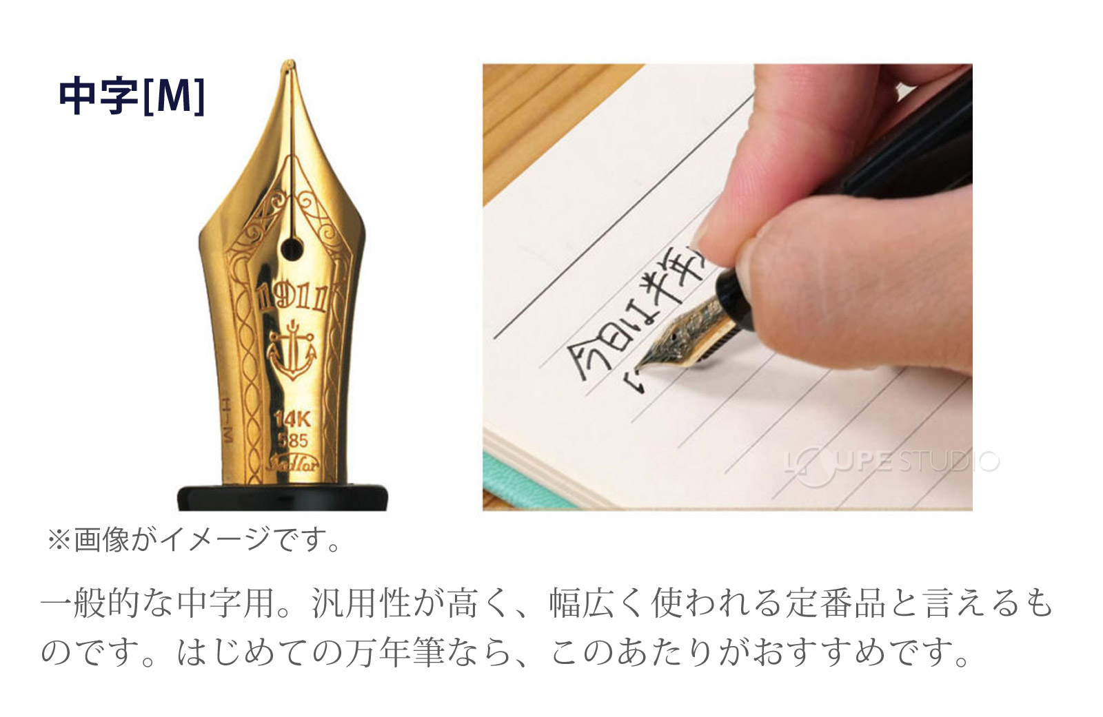 ペン先字幅の種類 