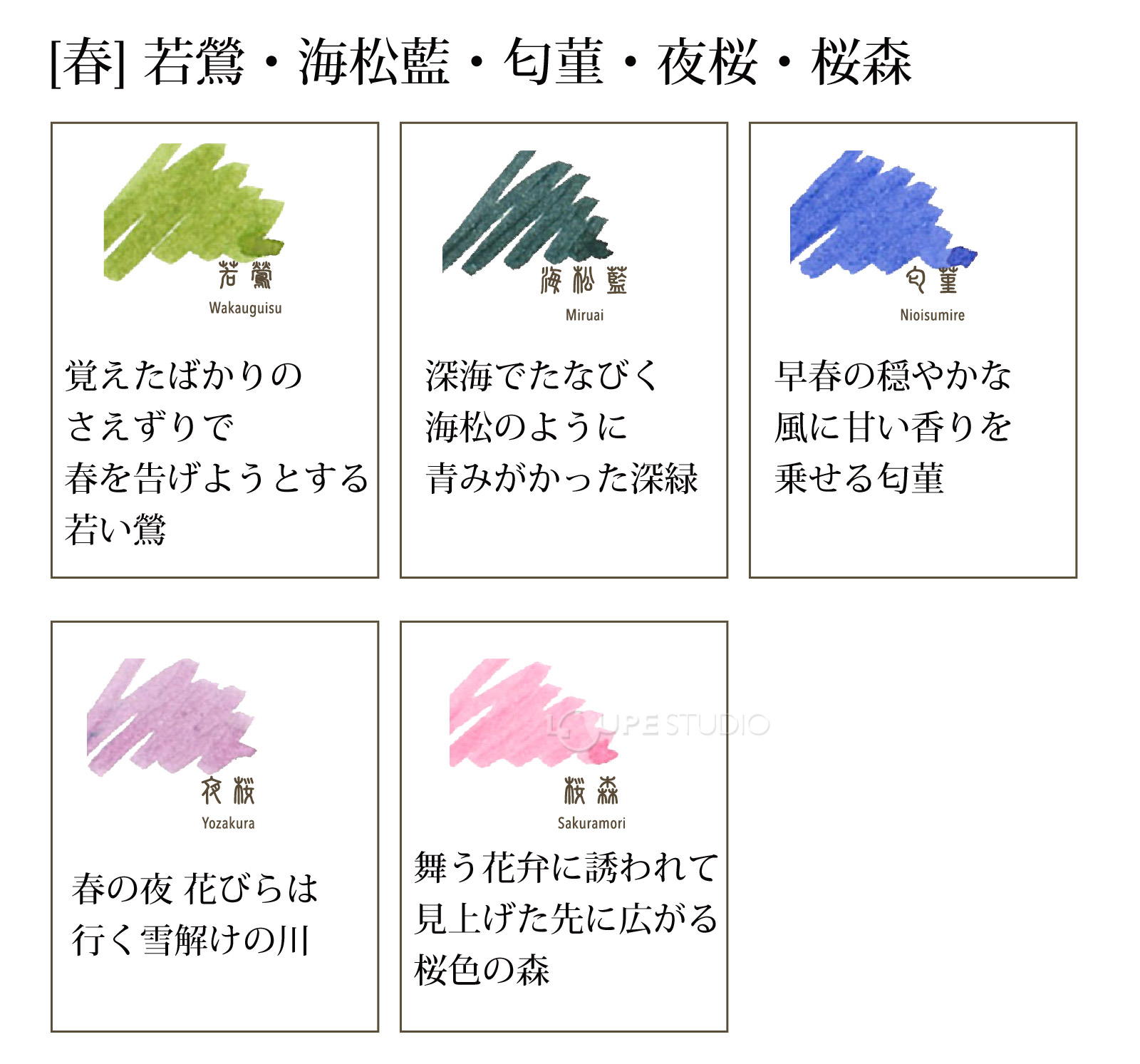 カラー 