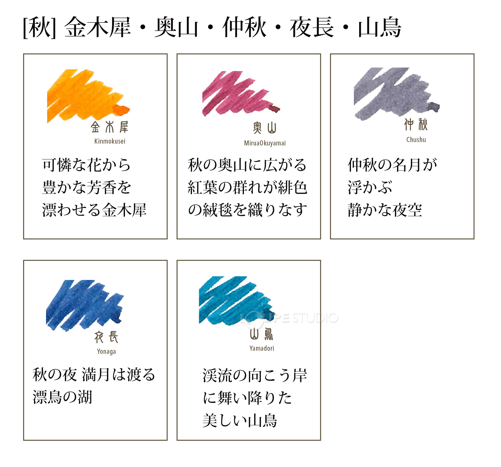 カラー 