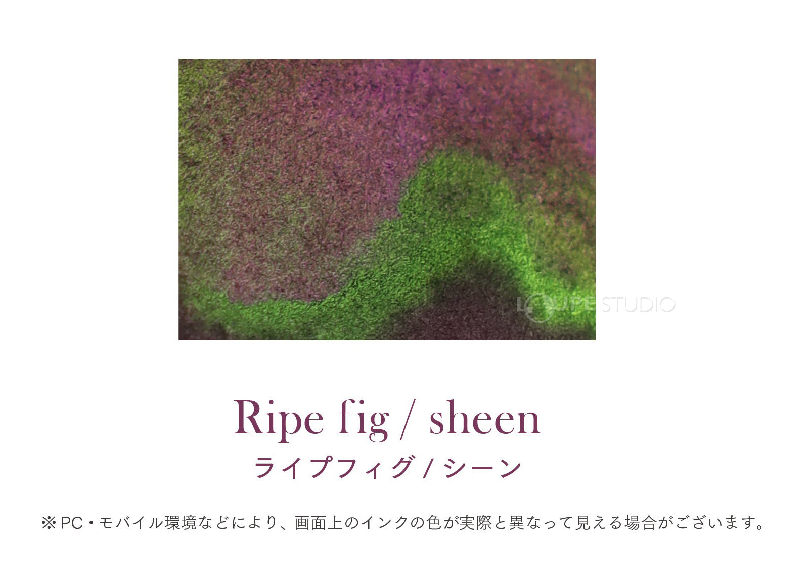 ライプフィグ/シーン 