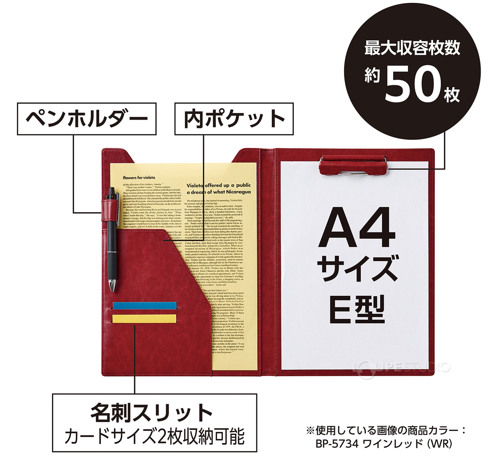 最大収容枚数約50枚 