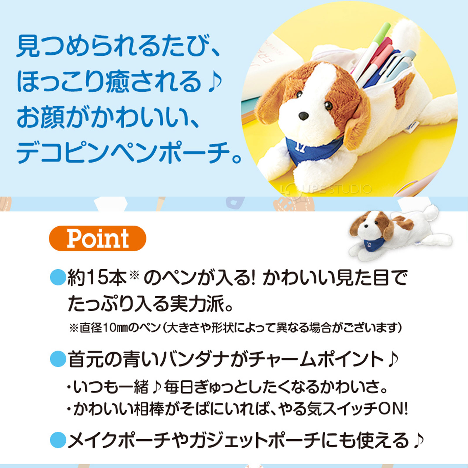 ポイント 
