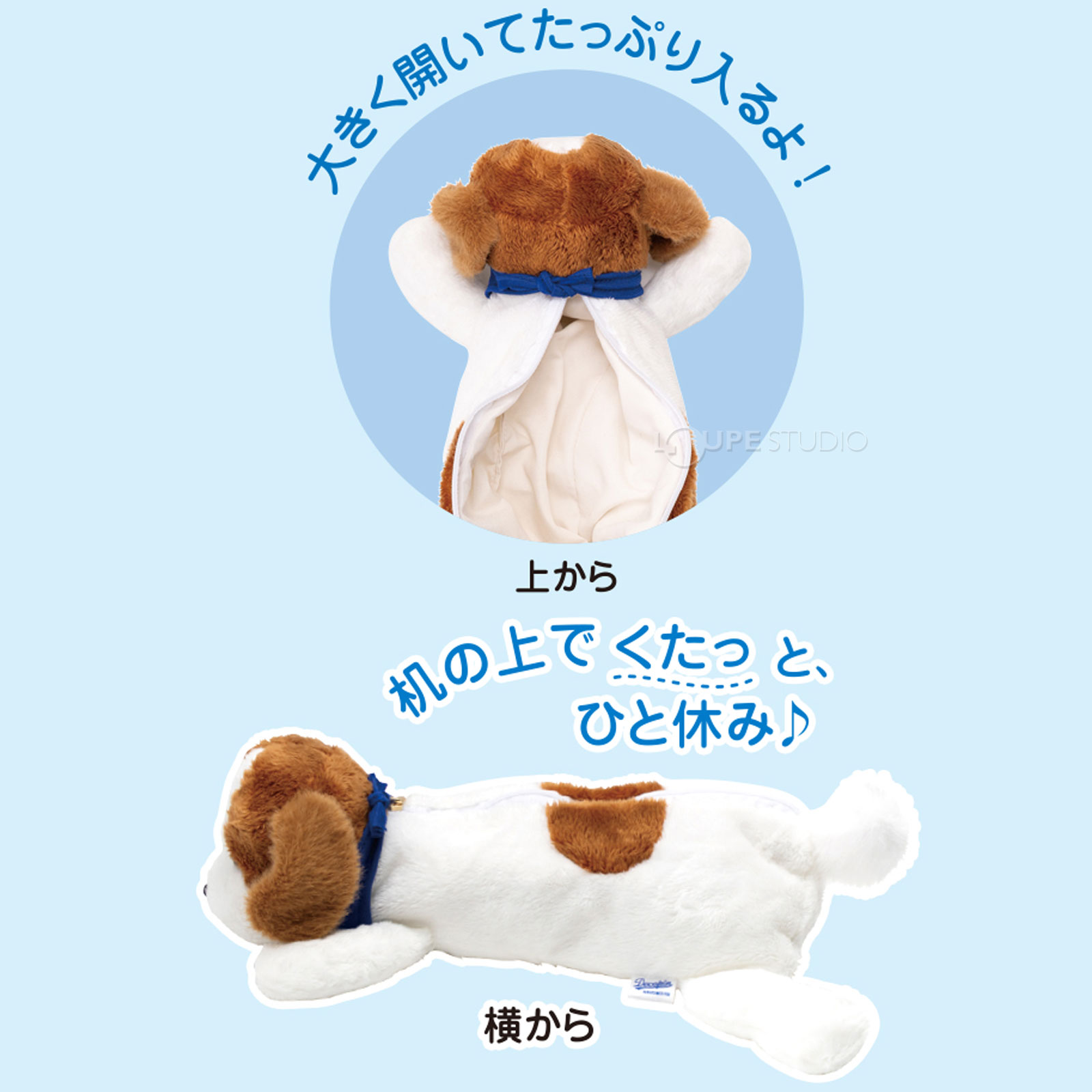 上から&横から 