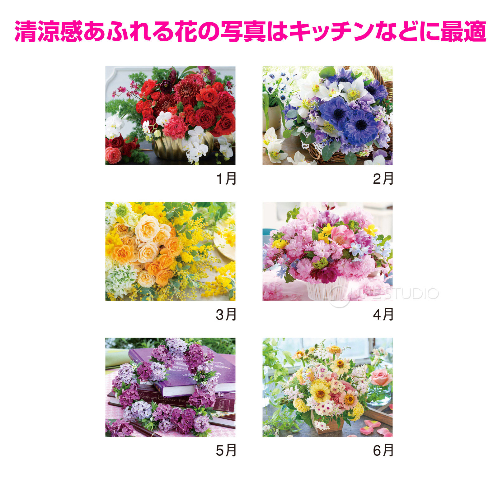 清涼感あふれる花の写真はキッチンなどに最適 