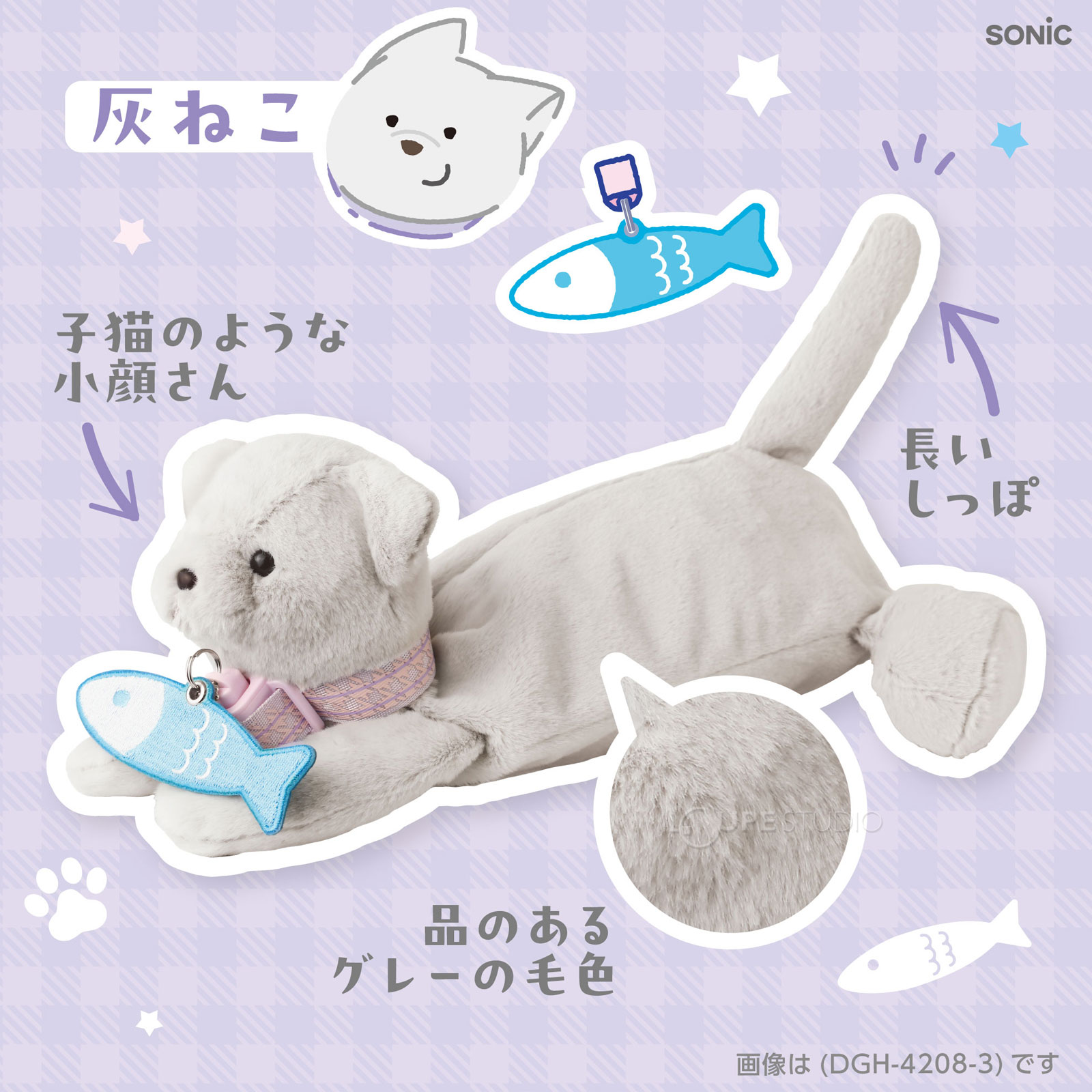 灰ねこ 