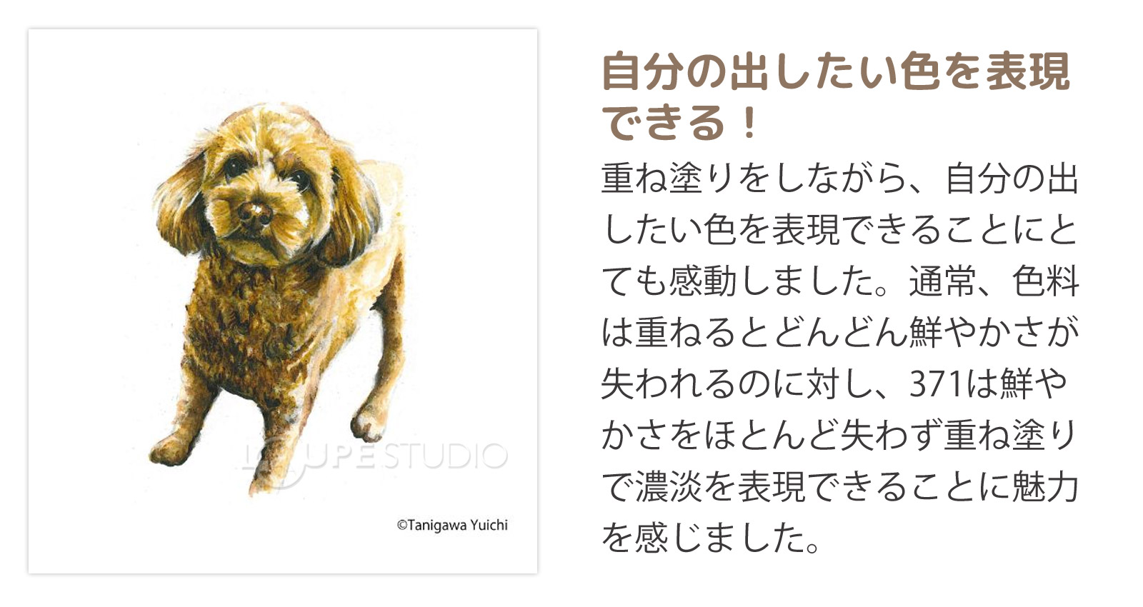 アーティストからの声 