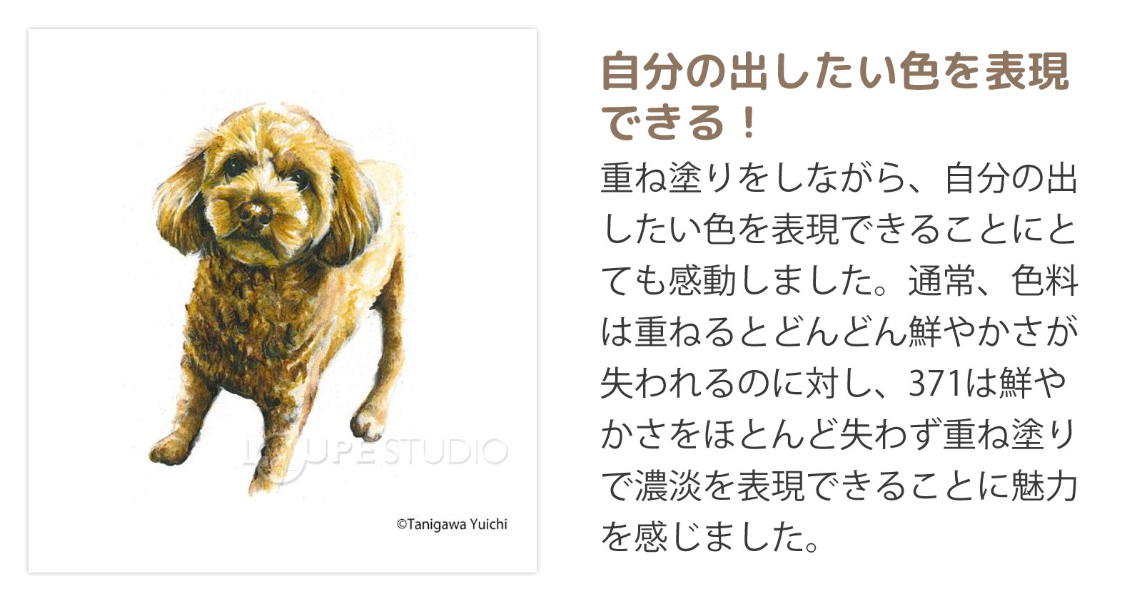 アーティストからの声 