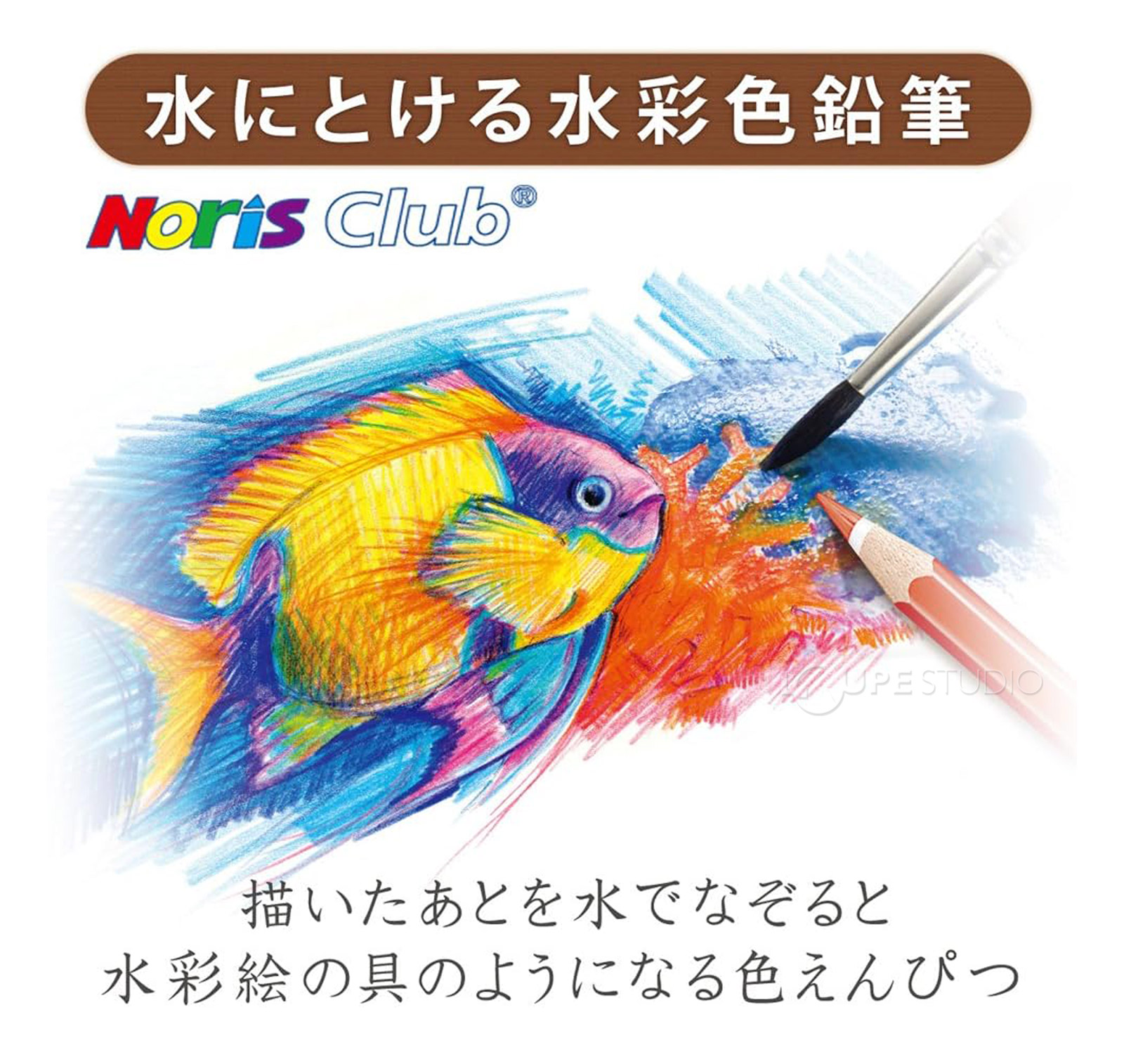 水にとける水彩色鉛筆 