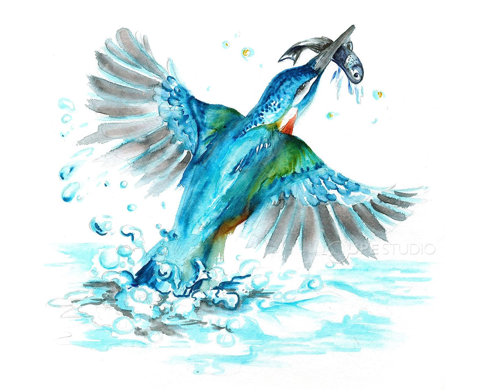 What is "Design Journey"series? 