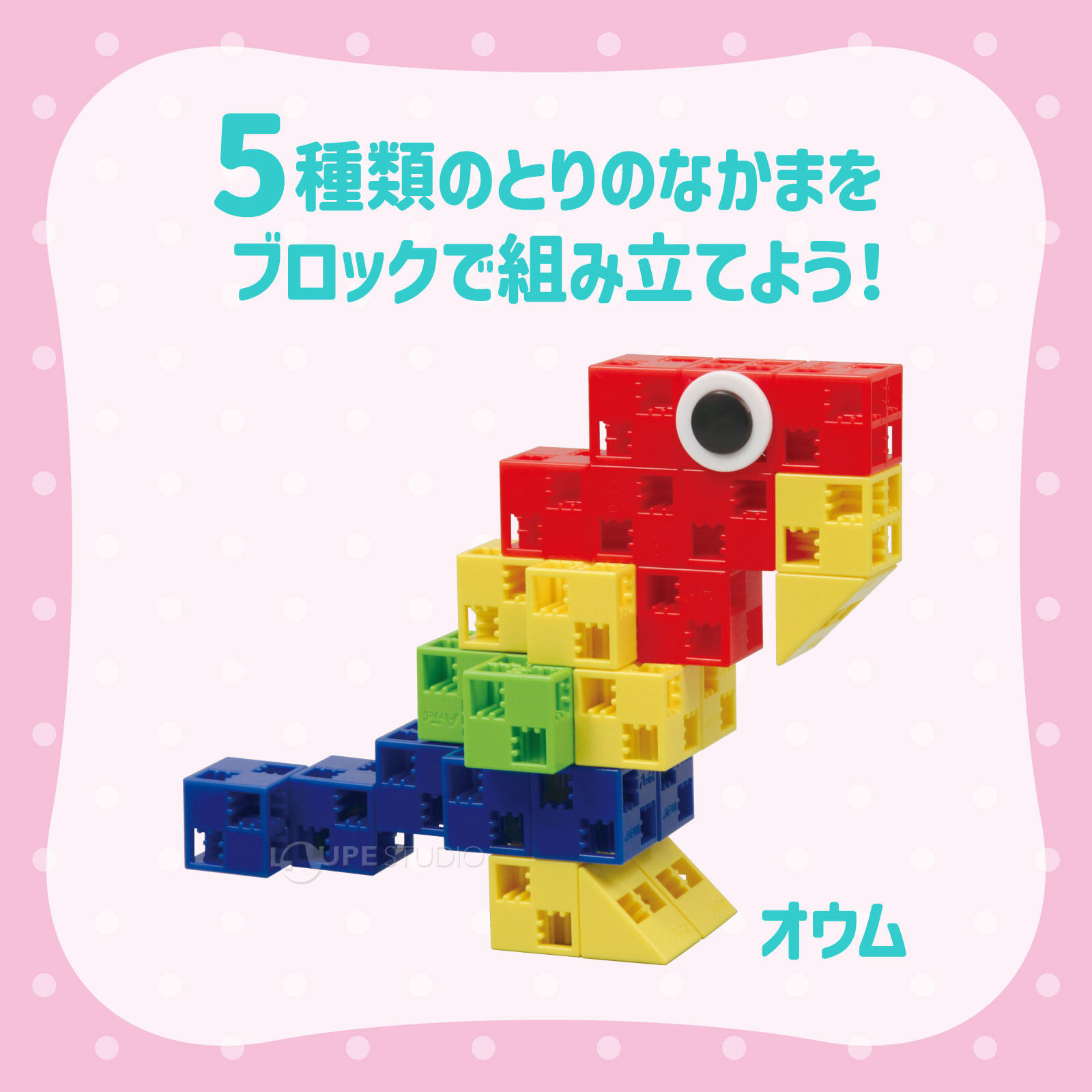 遊び説明書付き 