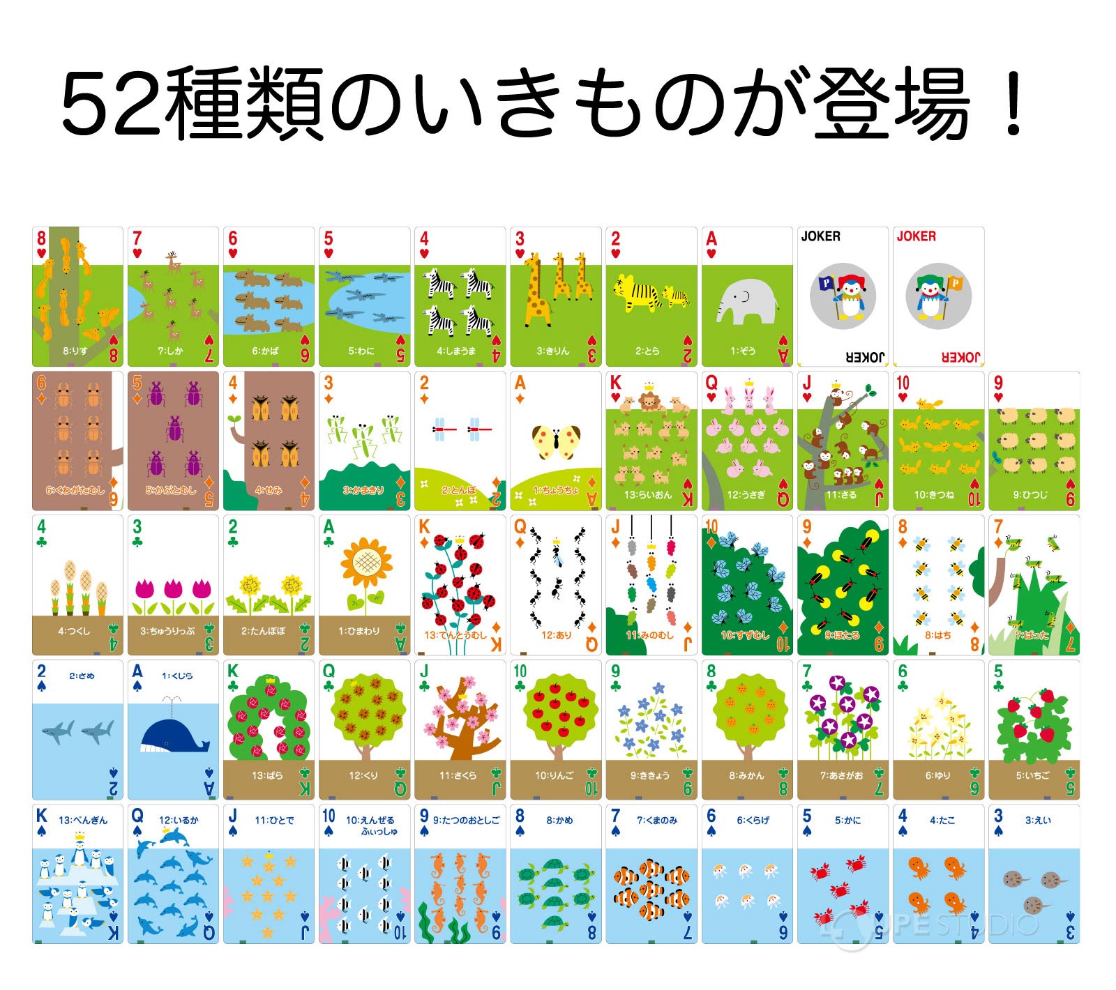 52種類のいきものが登場 