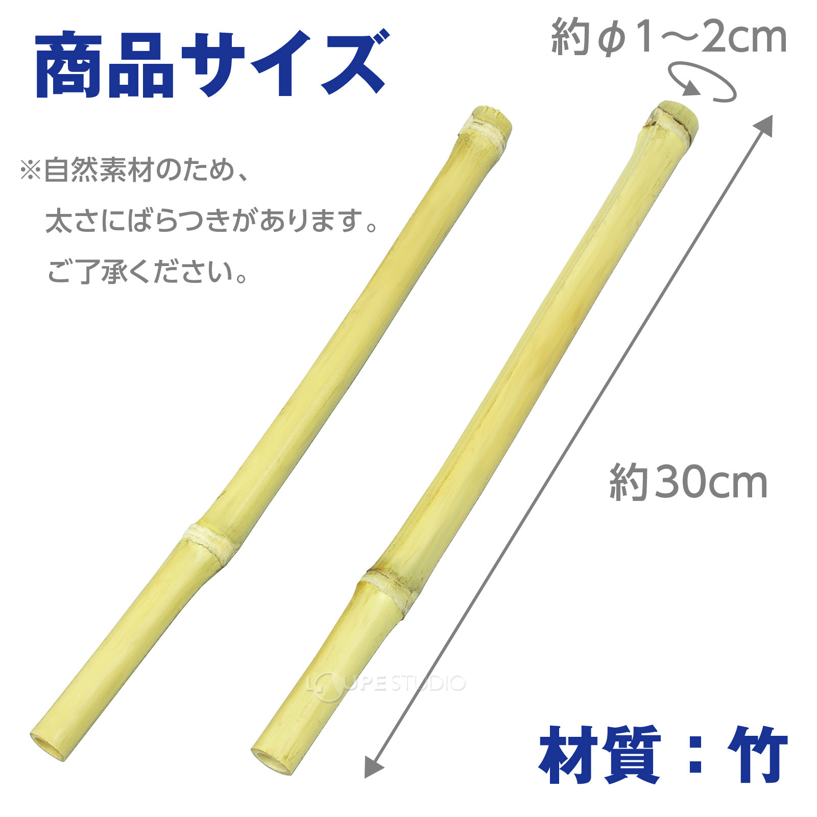 サイズ