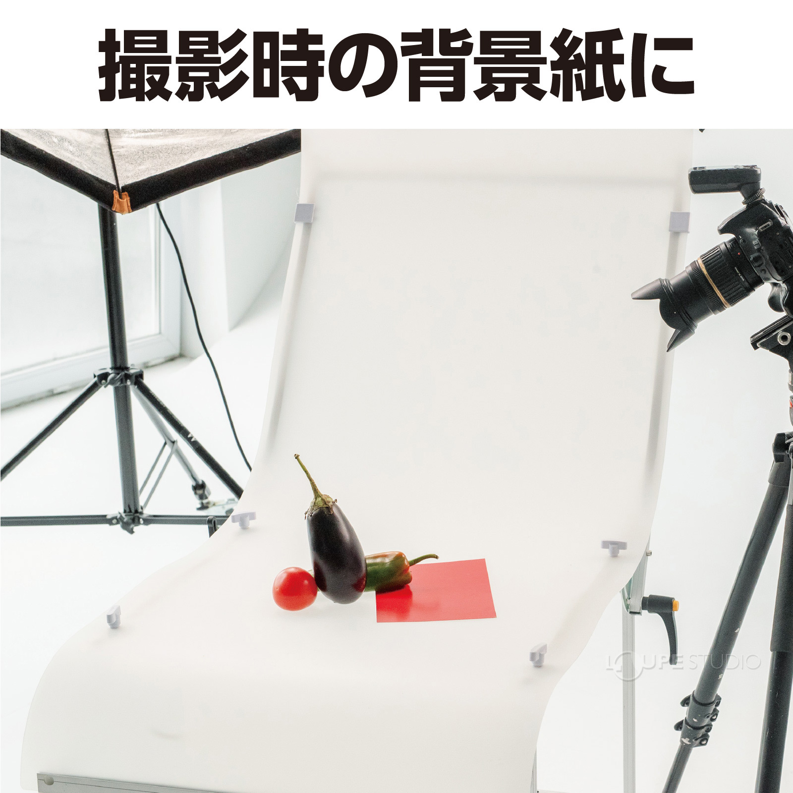 撮影時の背景紙に 