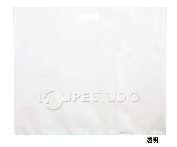 作品バックビニール製大 