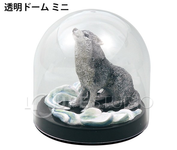 透明ドーム ミニ 