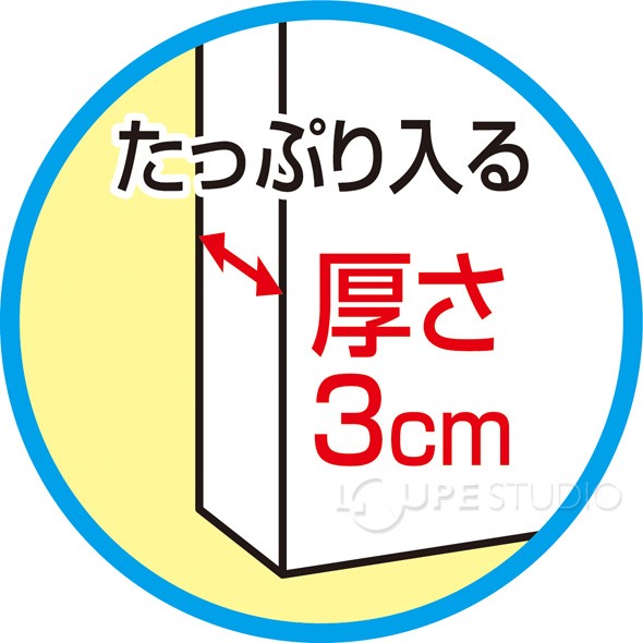 作品バッグ 紙製 白 作品収納 保管 四ツ切サイズ バッグ 画材 図工