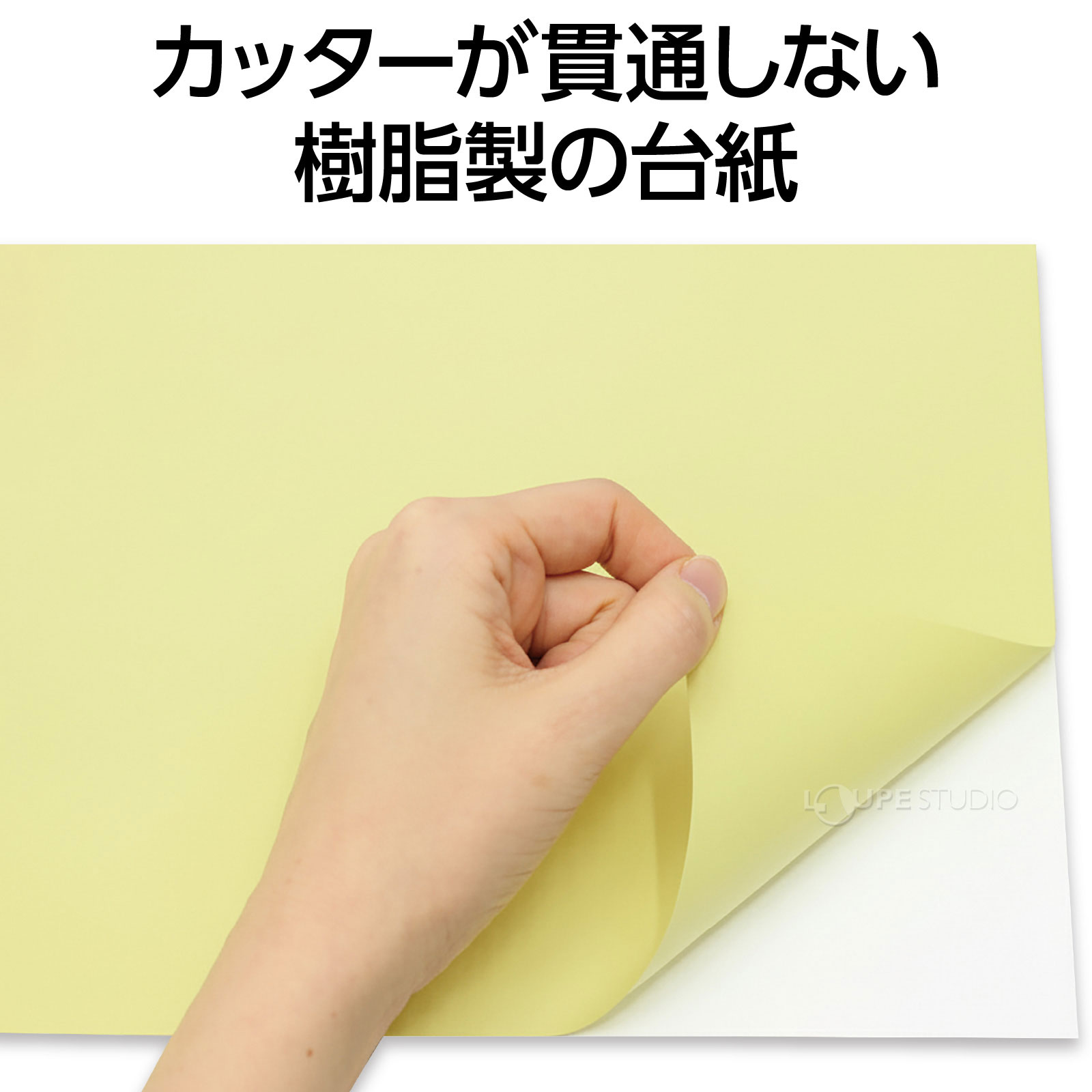 樹脂製の台紙 