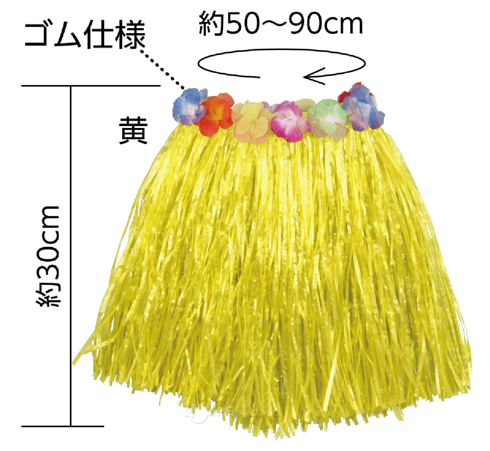 サイズ