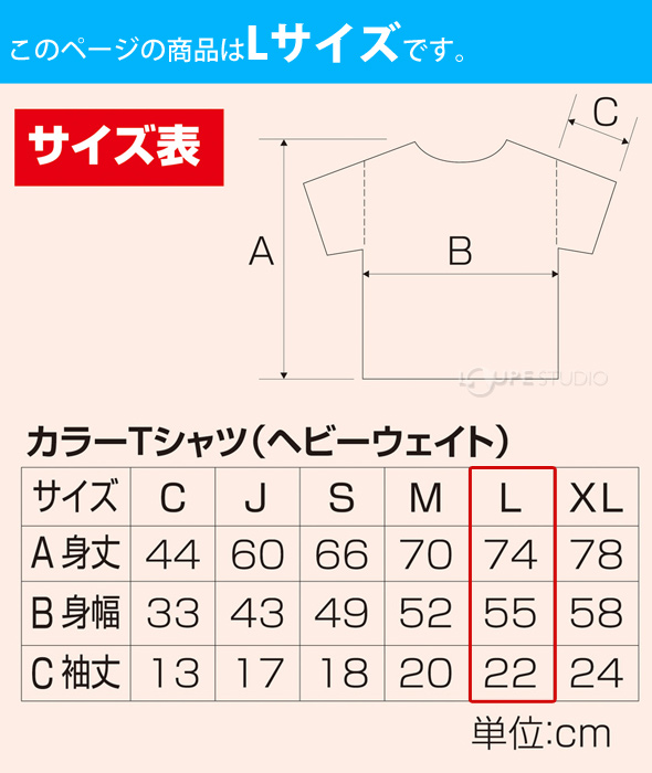 カラーTシャツ Lサイズ 