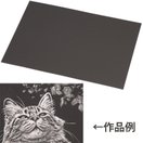  スクラッチボード枠なし紙製 画材 学校教材 学童文具 子供 小学生 図工 美術 自由研究 宿題
