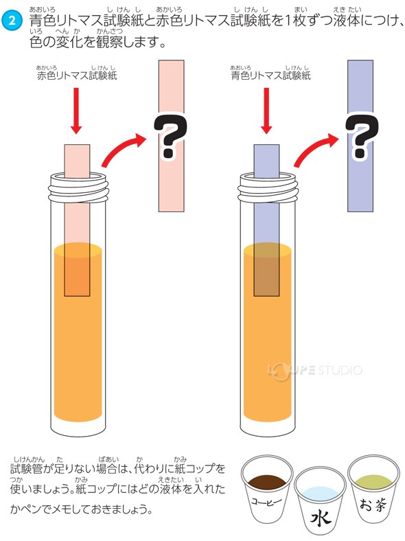 実験方法 