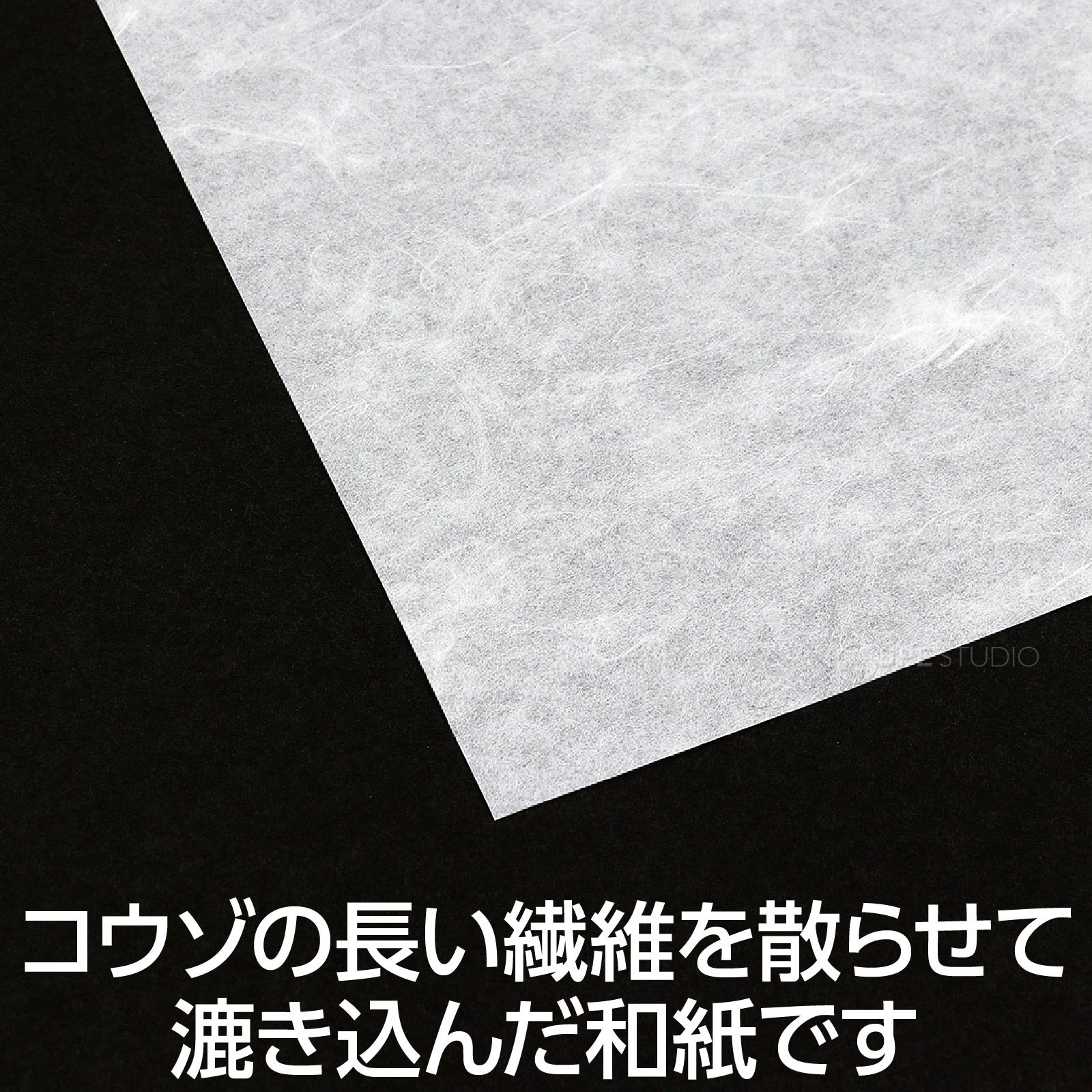 コウゾの長い繊維 