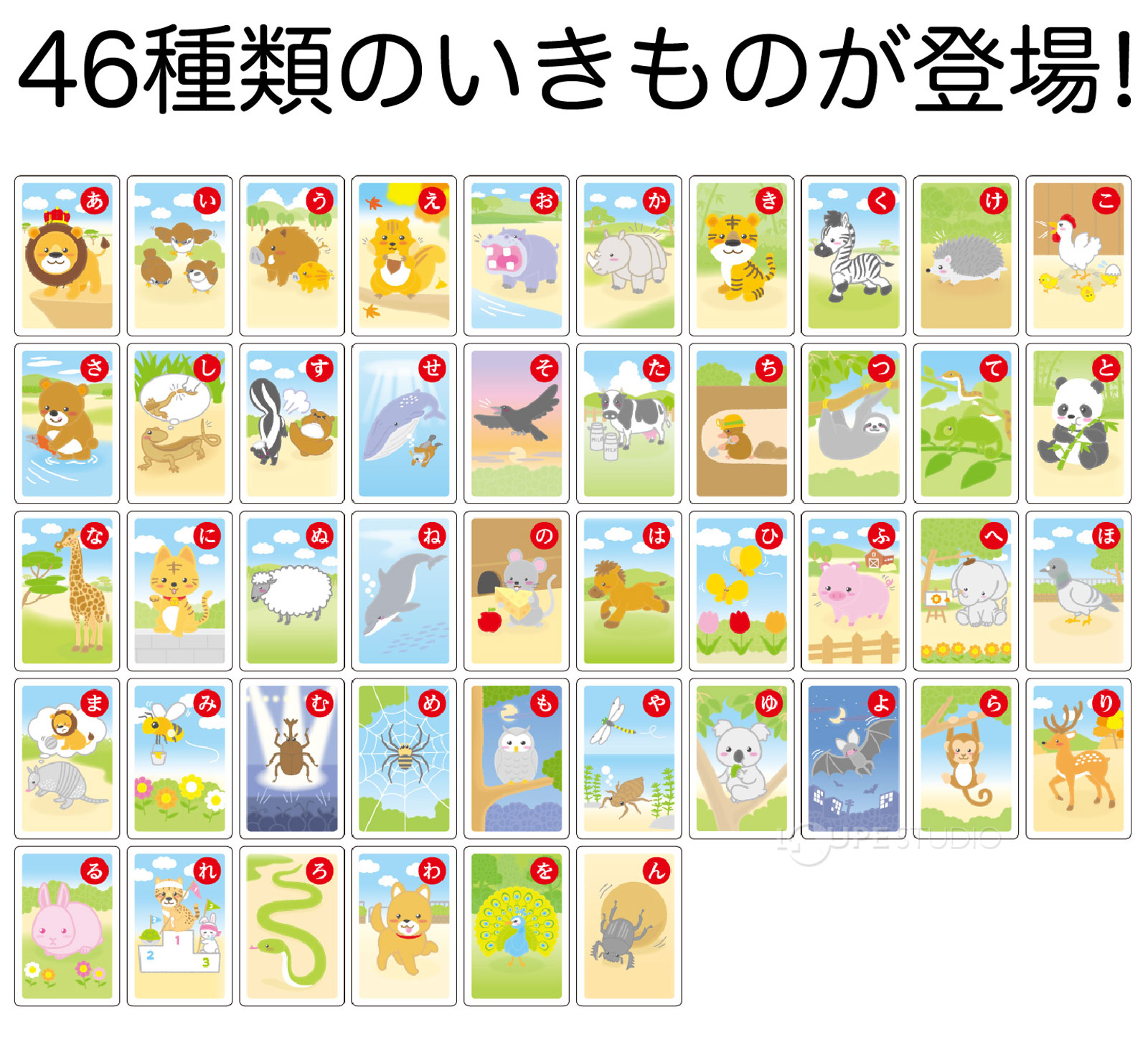 いきものかるた 