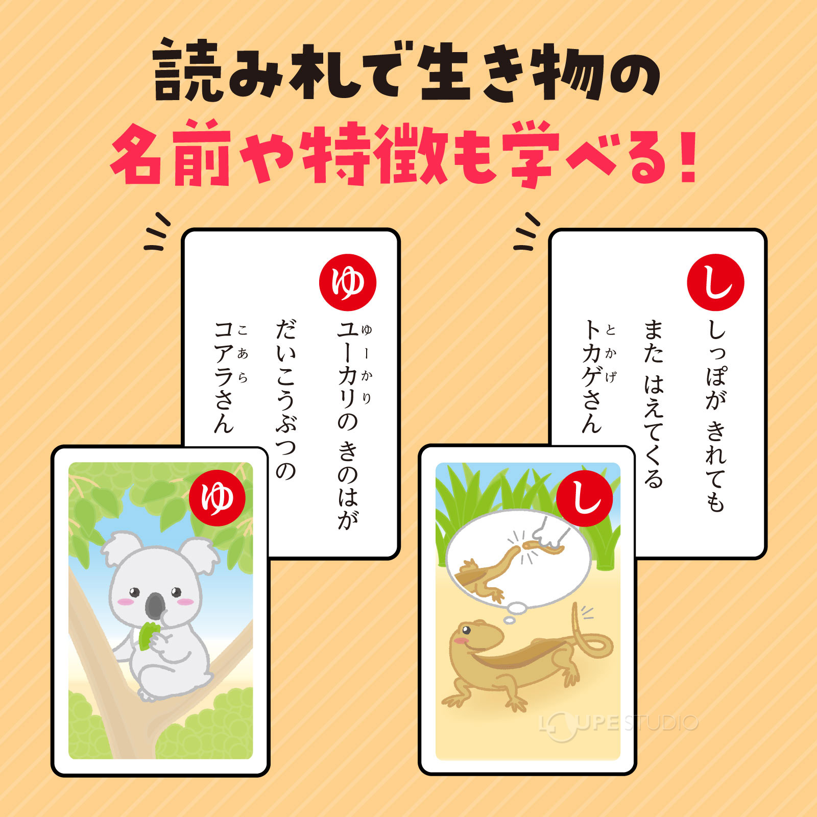読み札で生き物の名前や特徴も学べる 