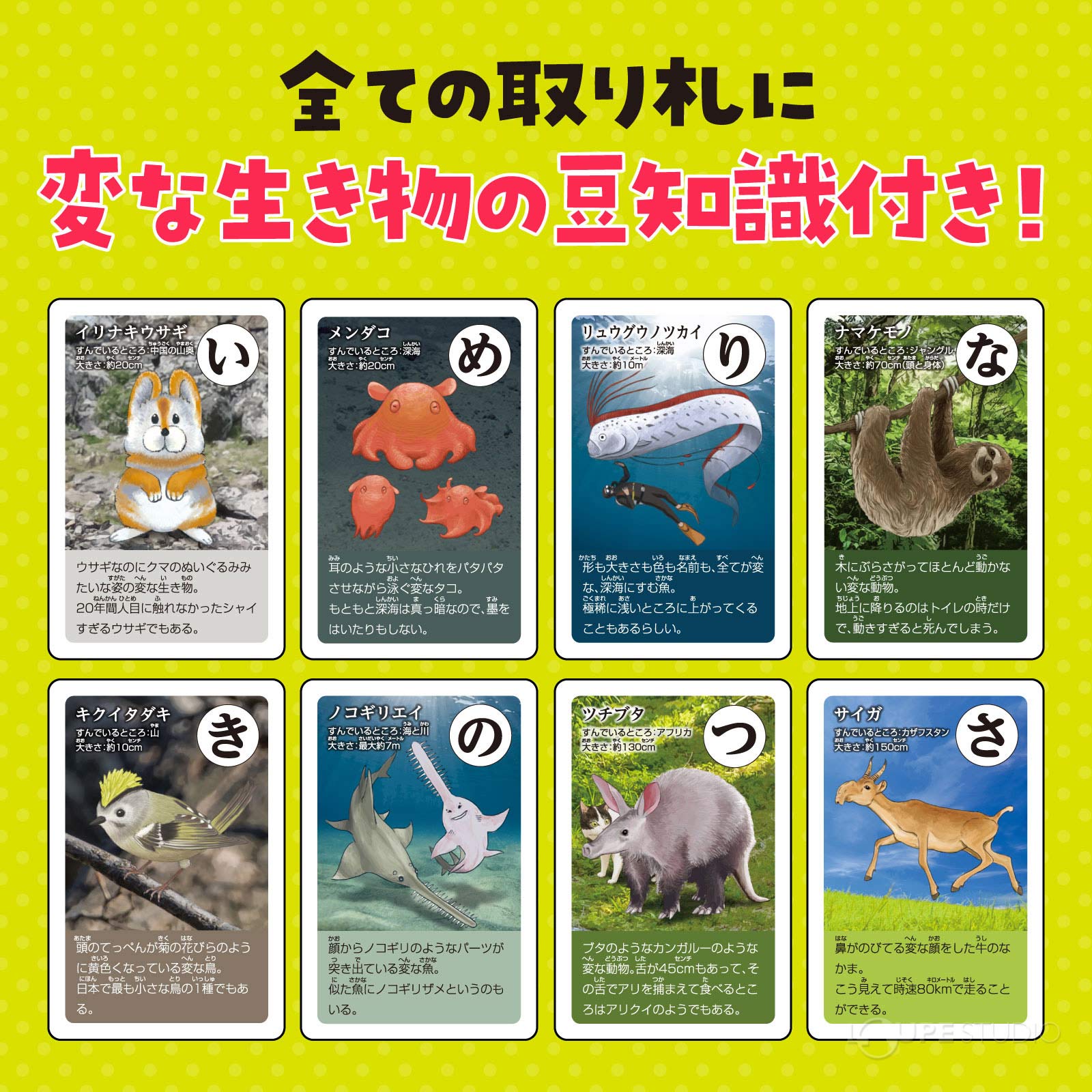 変な生き物の豆知識付き 