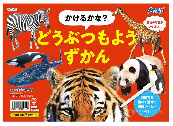 本体 