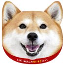 しばいぬさんのだいすきブック 絵本 えほん 犬 知育玩具 子供 キッズ おもちゃ 幼児 室内