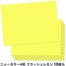 ニューカラー4切 10枚 2004 フラッシュレモン 画材 カラー用紙 美術 図工 工作 学校教材 小学生 自由研究 宿題