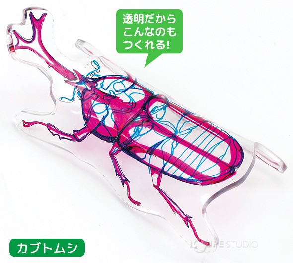 カブトムシ 