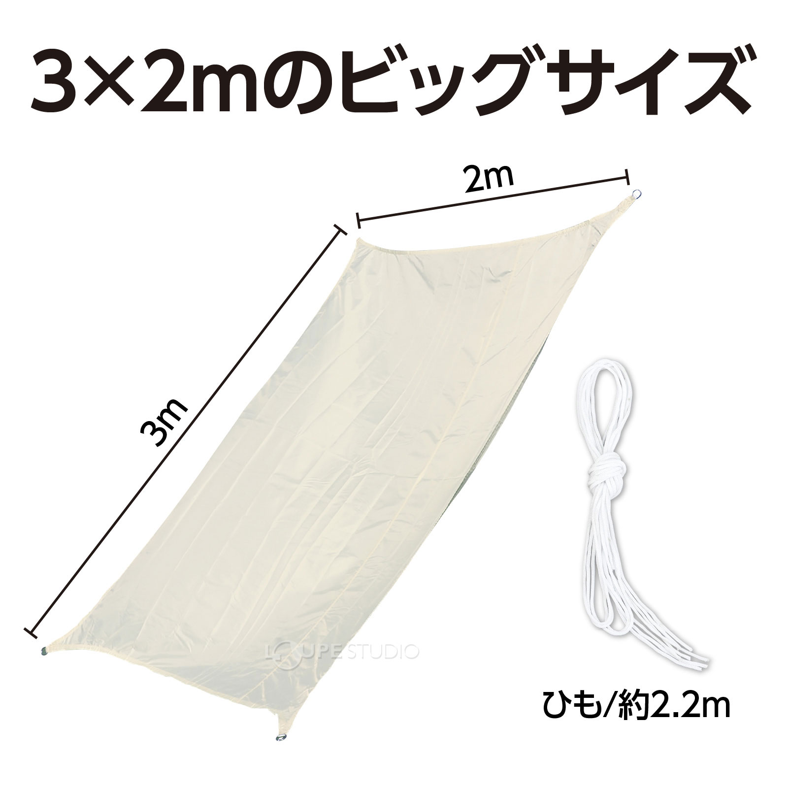 サイズ 