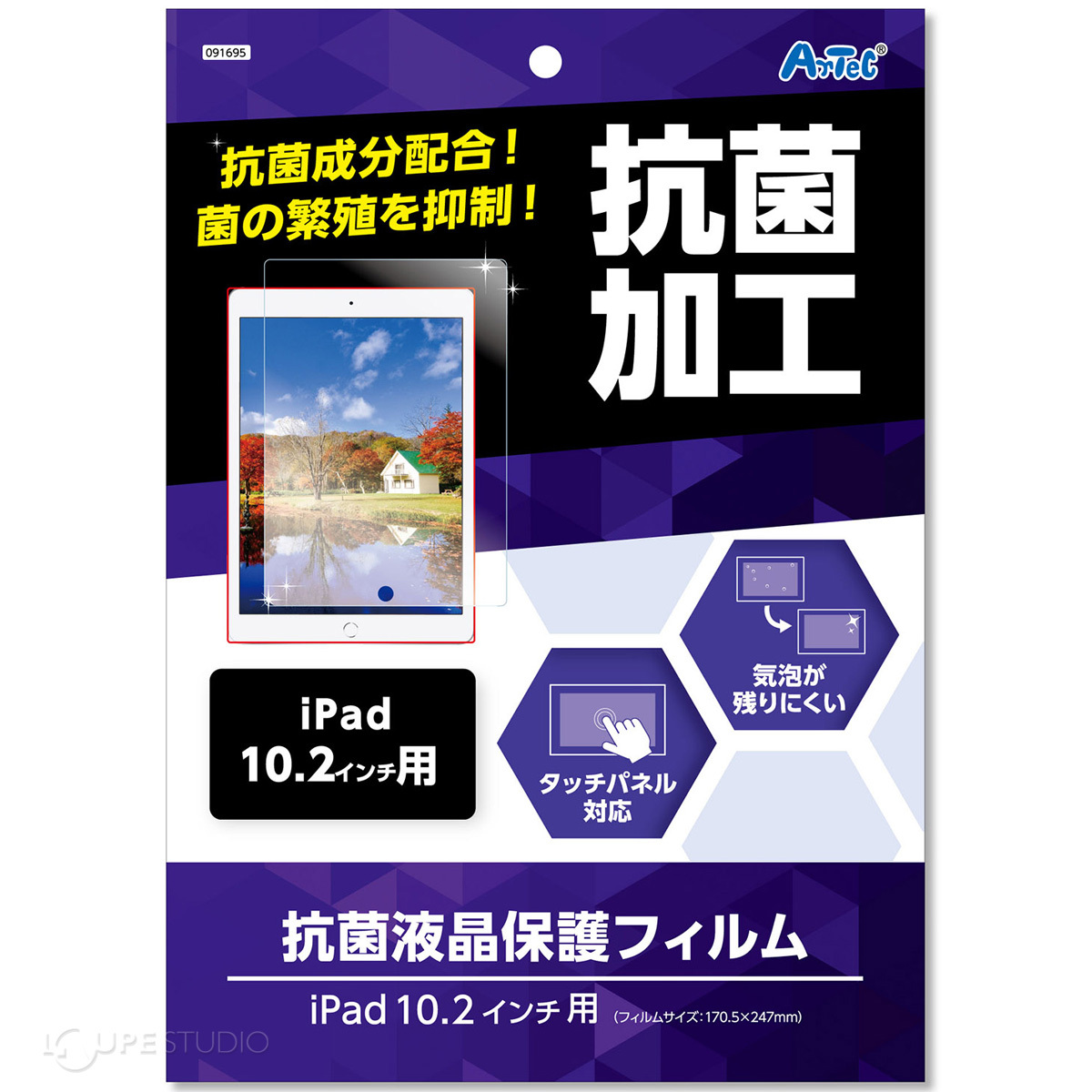 本体
