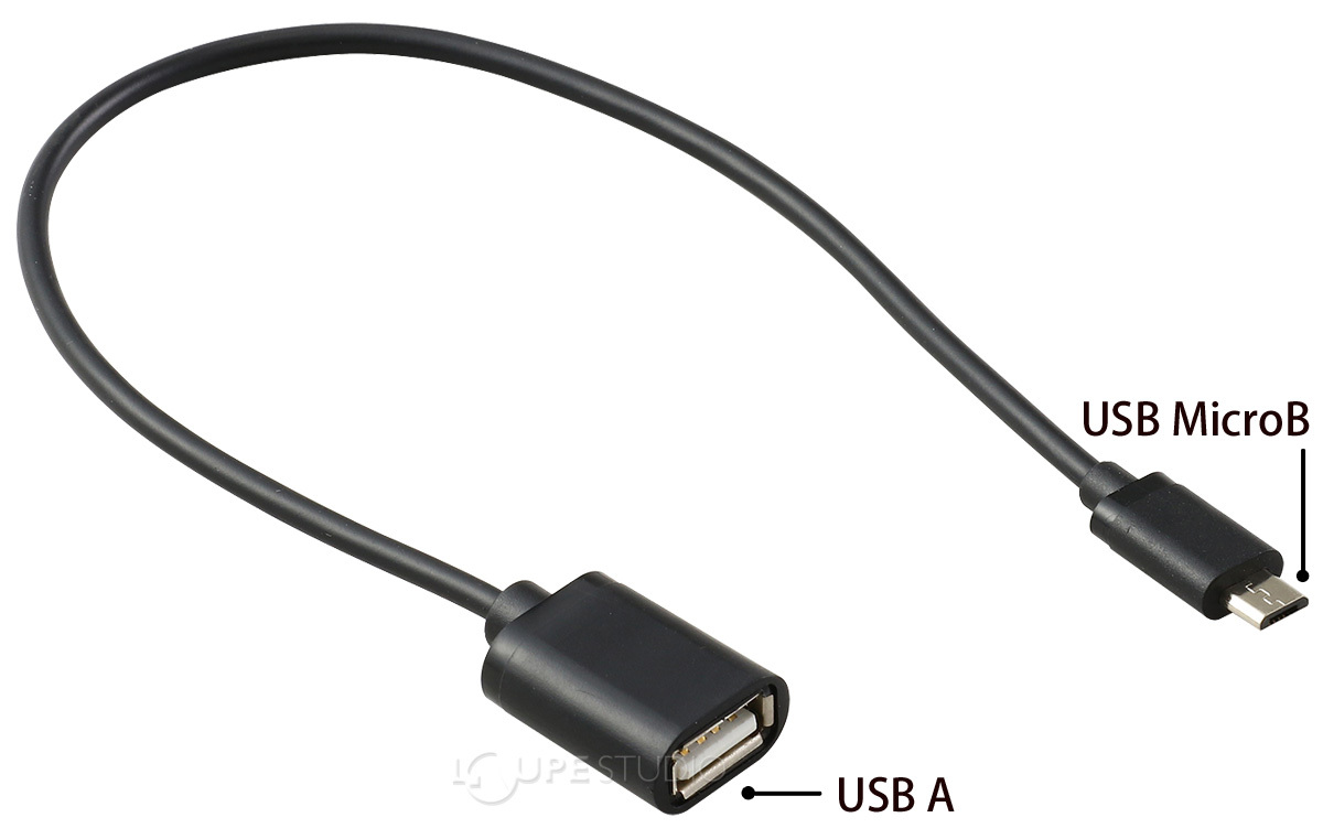 USB変換アダプター (MicroB-TypeA) USBケーブル USBアダプター type-a タイプA マイクロB 接続 PCアクセサリー パソ  :atc-09975:ルーペスタジオ - 通販 - Yahoo!ショッピング
